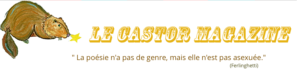 Castor magazine